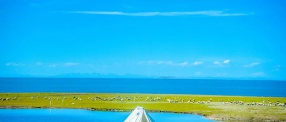 露營熱浪襲來 旅行社轉(zhuǎn)型的機(jī)遇與挑戰(zhàn)