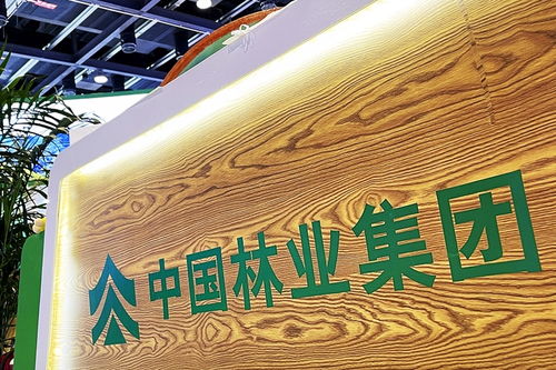 中林集團(tuán)子公司商票逾期風(fēng)波加劇，原董事長遭起訴，旅游業(yè)務(wù)何去何從？